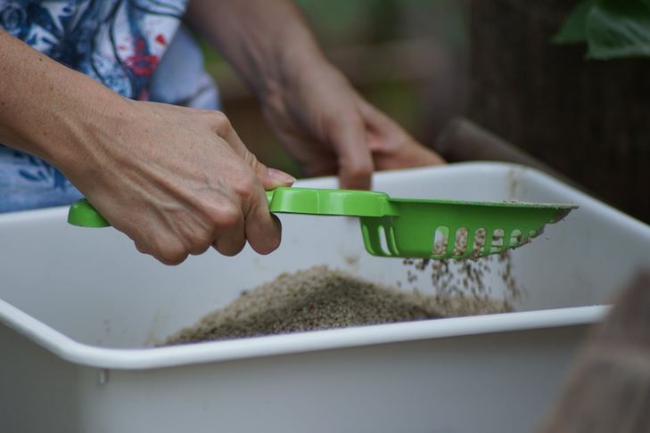 litter box for cats